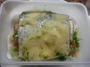Salmon layers with salt, sugar and brandy